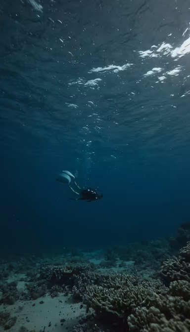 Exploring the Depths Exploring the Depths