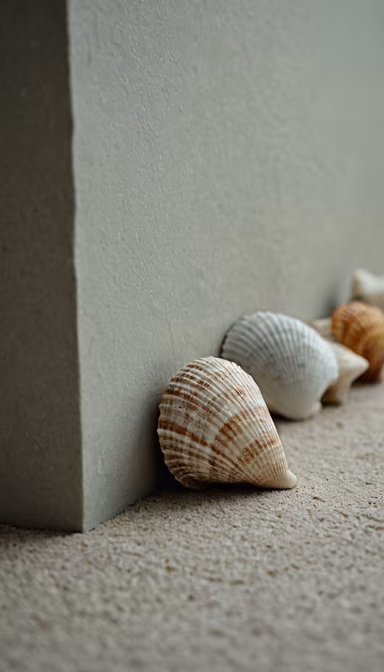 Seaside Treasures Seaside Treasures