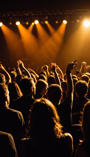 Concert Vibes Concert Vibes
