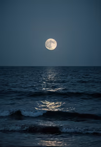 Moonlit Serenity