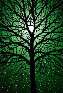 Emerald Canopy Emerald Canopy