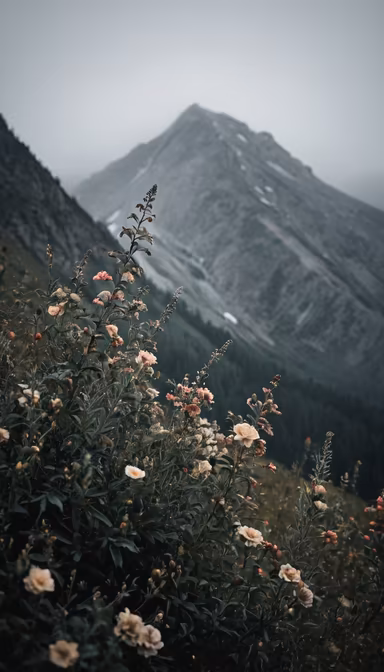 Mountain Blooms