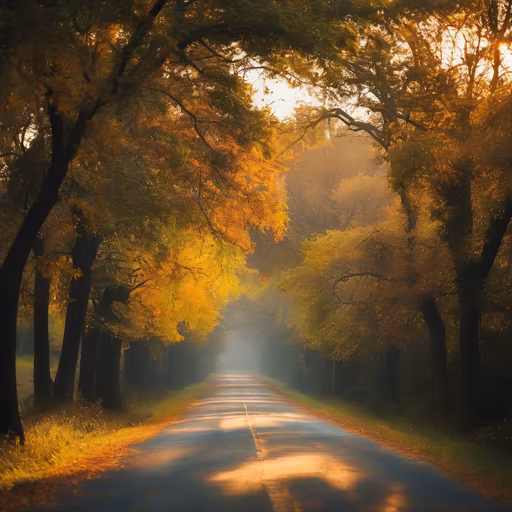 Autumn Road