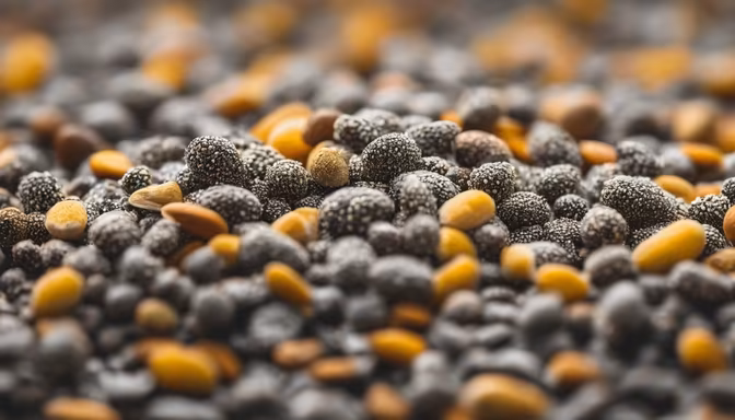 Seed Symphony