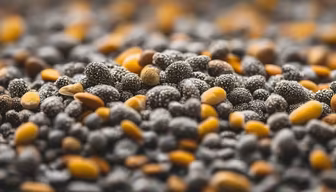 Seed Symphony