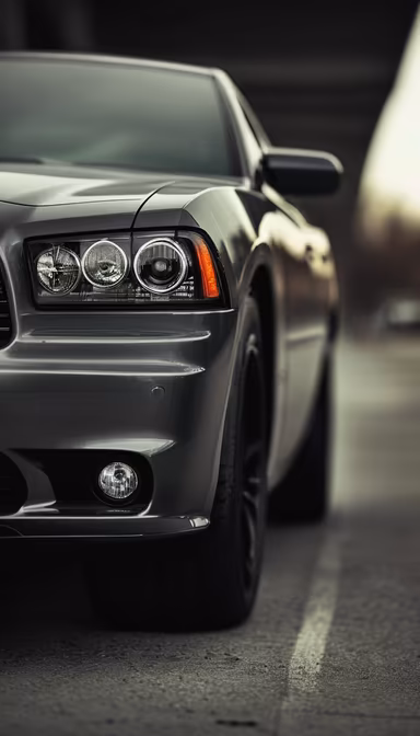 American Muscle American Muscle