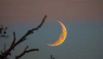 Crescent Moon