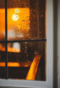 Rainy Day Reflections Rainy Day Reflections