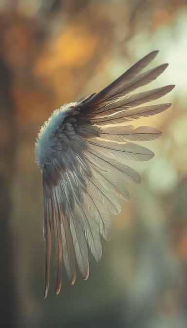 Wings of Light