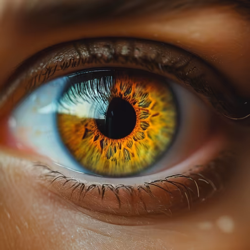 Window to the Soul