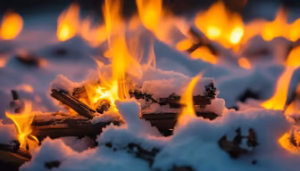 Winter Warmth Winter Warmth