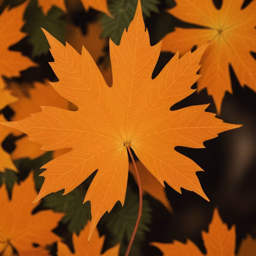 Autumn's Embrace