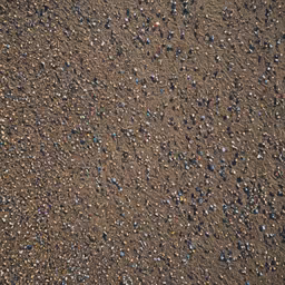 Pebble Beach Pebble Beach