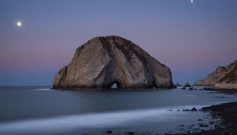 Coastal Majesty