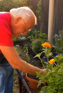 Golden Hour Gardening Golden Hour Gardening