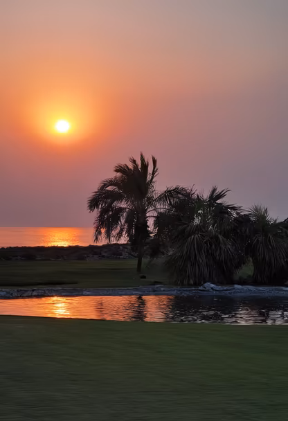 Tropical Sunset