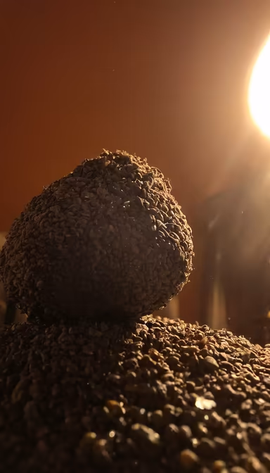 Coffee Bean Mountain Coffee Bean Mountain