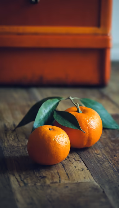 Citrus Still Life Citrus Still Life
