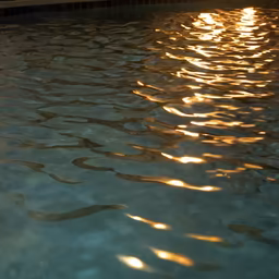 Poolside Reflections