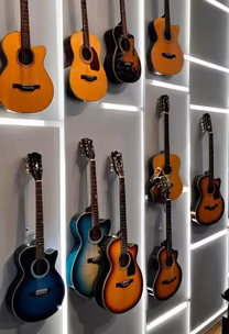 Guitar Collection Guitar Collection