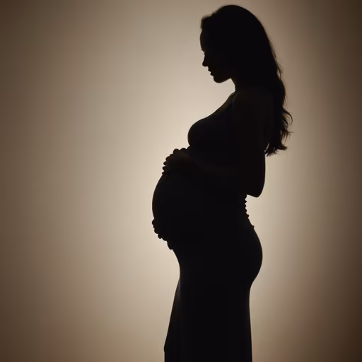 A Mother's Silhouette