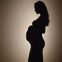 A Mother's Silhouette A Mother's Silhouette