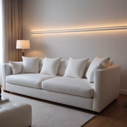 Serene Living Space Serene Living Space