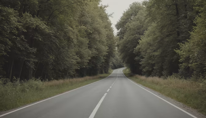 Road to Serenity