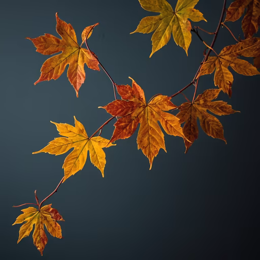 Autumnal Cascade