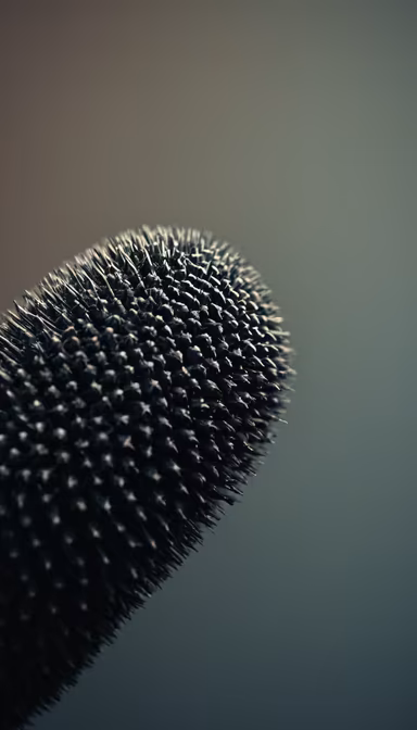 Spiky Wonder