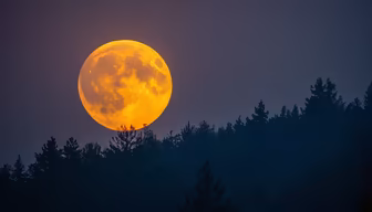 Harvest Moon