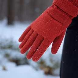 Winter Warmth Winter Warmth