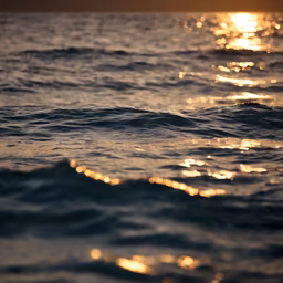 Golden Hour Waves Golden Hour Waves