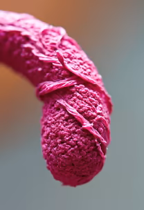 Textured Beauty Textured Beauty
