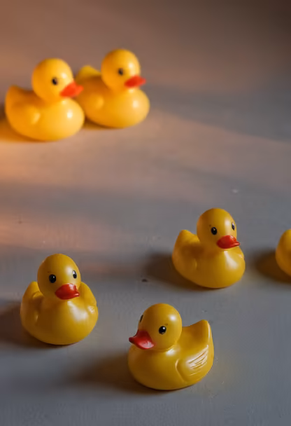 Rubber Duckies