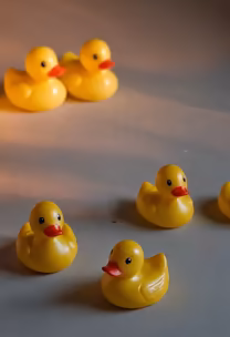 Rubber Duckies