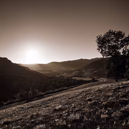 Golden Valley Golden Valley