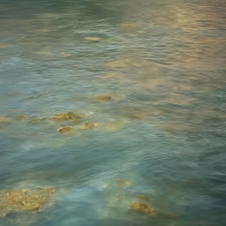 Crystal River