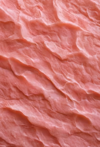Tuna Texture