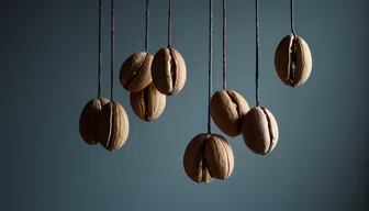 Pecan Ornaments Pecan Ornaments