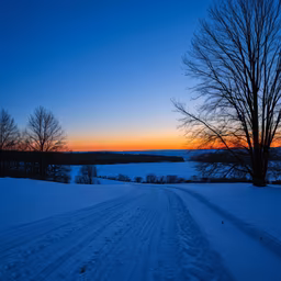Winter's Embrace Winter's Embrace