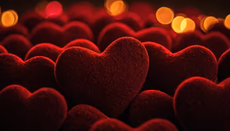 A Sea of Hearts A Sea of Hearts
