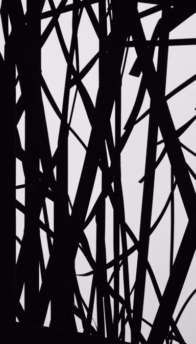Geometric Nature
