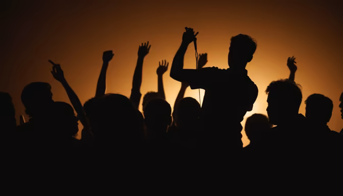 Concert Vibes