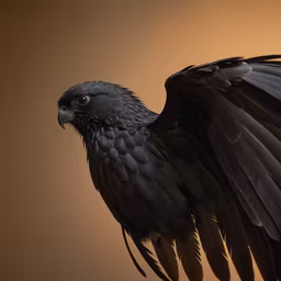Raven's Majesty Raven's Majesty