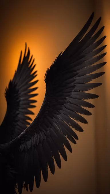 Wings of Night Wings of Night