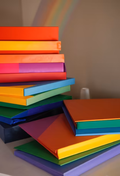 Rainbow Organization Rainbow Organization