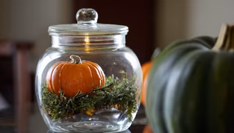 Autumnal Still Life Autumnal Still Life