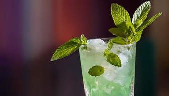 Mojito Time Mojito Time