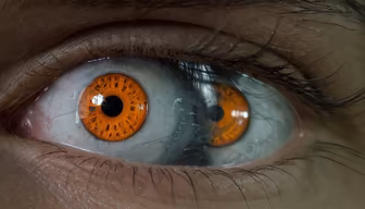 The Window to the Soul The Window to the Soul
